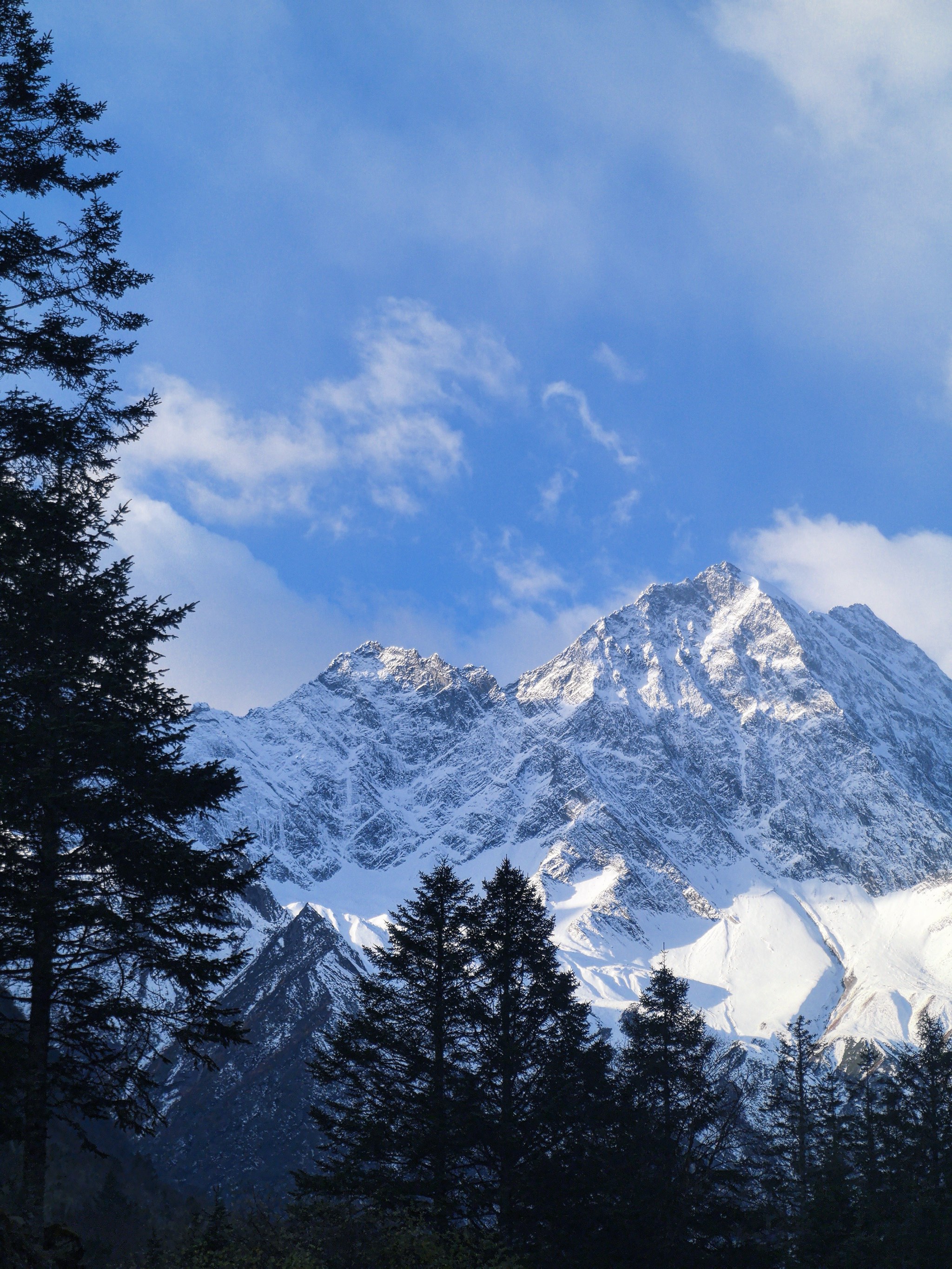 《浪潮服务器硬盘：性能与可靠性的双重革命，如何为你的数据中心注入“超能芯”动力？》